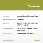 Ипомея батат Blackie (срез 1шт) — что приедет