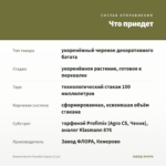 Ипомея батат FloraMia Cameo (0,1л) — что приедет