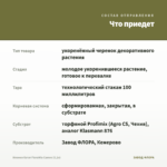 Ипомея батат FloraMia Cameo (0,1л) — что приедет