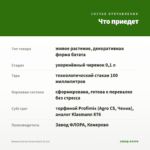 Ипомея батат Green Heart (0,1л) — что приедет