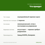 Ипомея батат Green Heart (срез 1шт) — что приедет