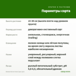 Ипомея батат Green (срез 1шт) — параметры сорта
