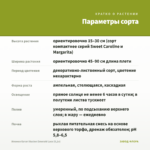 Ипомея батат Illusion Emerald Lace (0,1л) — параметры сорта