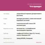 Ипомея батат Pink Frost (0,1л) — что приедет