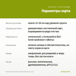 Ипомея батат Sweet Caroline Light Green (0,1л) — параметры сорта