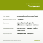 Ипомея батат Sweet Caroline Light Green (срез 1шт) — что приедет