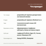 Ипомея батат Sweet Caroline Sweetheart Jet Black (0,1л) — что приедет