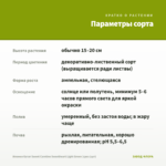 Ипомея батат Sweet Caroline Sweetheart Light Green (срез 1шт) — параметры сорта