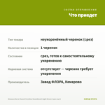 Ипомея батат Sweet Caroline Sweetheart Light Green (срез 1шт) — что приедет