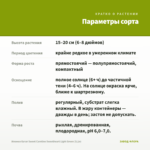 Ипомея батат Sweet Caroline Sweetheart Light Green (0,1л) — параметры сорта