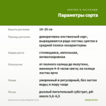 Ипомея батат Yellow Margarita (0,1л) — параметры сорта