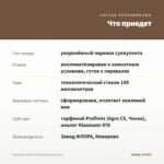 Каланхоэ войлочное/Томентоза (0,1л) — что приедет