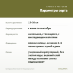 Калибрахоа Aloha Classic Hot Orange (срезы/5шт) — параметры сорта