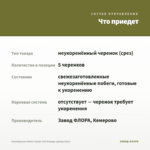Калибрахоа Aloha Classic Hot Orange (срезы/5шт) — что приедет