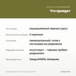 Калибрахоа Aloha Classic Hot Orange (срезы/5шт) — что приедет