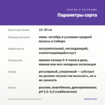Калибрахоа Aloha Classic Tiki Blue (0,1л) — параметры сорта