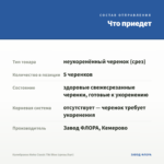 Калибрахоа Aloha Classic Tiki Blue (срезы/5шт) — что приедет