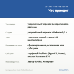 Калибрахоа Aloha Classic Tiki Dark Blue (0,1л) — что приедет