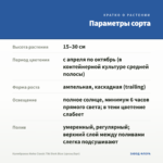 Калибрахоа Aloha Classic Tiki Dark Blue (срезы/5шт) — параметры сорта