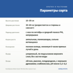 Калибрахоа Aloha Classic Tiki Dark Blue (срезы 5 шт) — параметры сорта