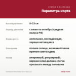 Калибрахоа Aloha Double Cherry Red (0,1л) — параметры сорта