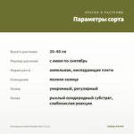 Калибрахоа Aloha Double Citric (0,1л) — параметры сорта