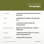 Калибрахоа Aloha Double Citric (0,1л) — что приедет