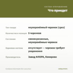 Калибрахоа Aloha Double Citric (срезы/5шт) — что приедет