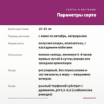 Калибрахоа Aloha Double Dark Pink (срезы/5шт) — параметры сорта