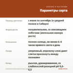 Калибрахоа Aloha Double Orange (срезы/5шт) — параметры сорта