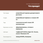 Калибрахоа ALOHA DOUBLE PINK BLUSH (0,1л) — что приедет