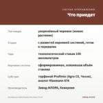 Калибрахоа Aloha Double Pink Blush (0,1л) — что приедет