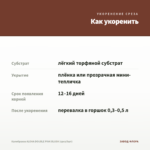 Калибрахоа ALOHA DOUBLE PINK BLUSH (срез/5шт) — как укоренить черенок
