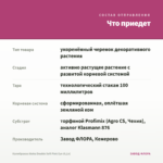 Калибрахоа Aloha Double Soft Pink Eye (0,1л) — что приедет