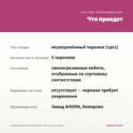 Калибрахоа Aloha Double Soft Pink Eye (срезы/5шт) — что приедет
