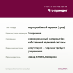 Калибрахоа Aloha Kona Neon (срезы/5шт) — что приедет