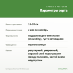 Калибрахоа Aloha Kona Tiki White (0,1л) — параметры сорта
