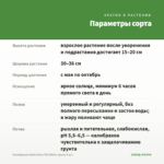 Калибрахоа Aloha Kona Tiki White (срезы 5 шт) — параметры сорта