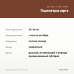 Калибрахоа Aloha Nani Tiki Pink (0,1л) — параметры сорта