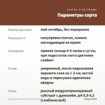 Калибрахоа Aloha Nani Tiki Pink (0,1л) — параметры сорта