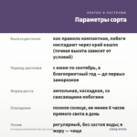 Калибрахоа Bloomtastic Blue Sky (0,1л) — параметры сорта