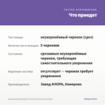 Калибрахоа Bloomtastic Lavender Quartz (срезы/5шт) — что приедет