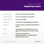 Калибрахоа Bloomtastic Purple (0,1л) — параметры сорта
