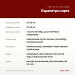 Калибрахоа Cabaret Compact Orange Star (0,1л) — параметры сорта