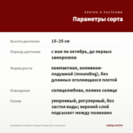 Калибрахоа Cabaret Compact Orange Star (срез/5шт) — параметры сорта