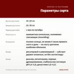 Калибрахоа Cabaret Compact Orange Star (срез/5шт) — параметры сорта