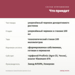 Калибрахоа Cabaret Double Apricote (0,1л) — что приедет