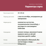 Калибрахоа Cabaret Double Apricote (срез/5шт) — параметры сорта
