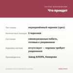 Калибрахоа Cabaret Double Apricote (срез/5шт) — что приедет