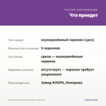 Калибрахоа Cabaret Double Blue (срез/5шт) — что приедет
